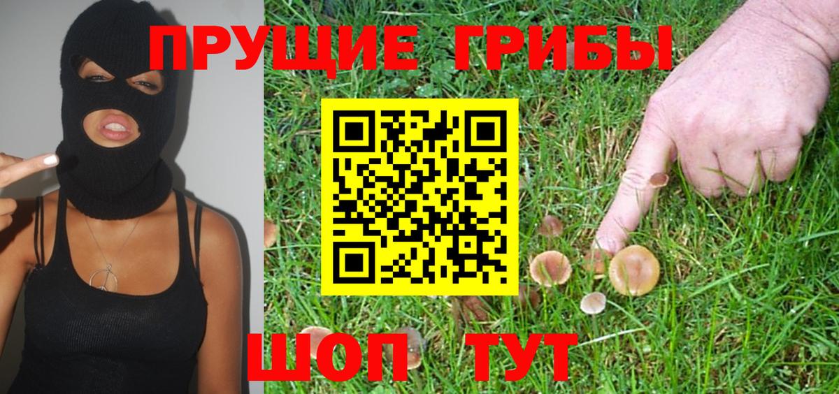 Тара  Галлюциногенные грибы GOLDEN TEACHER  Галлюциногенные грибы мухоморы  Вход с VPN 